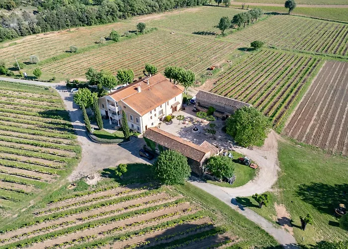 Gite Vert D\'Olive Au Milieu Des Vignes - Chateau Les Apies