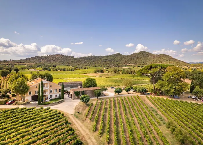 Gite Vert D\'Olive Au Milieu Des Vignes - Chateau Les Apies