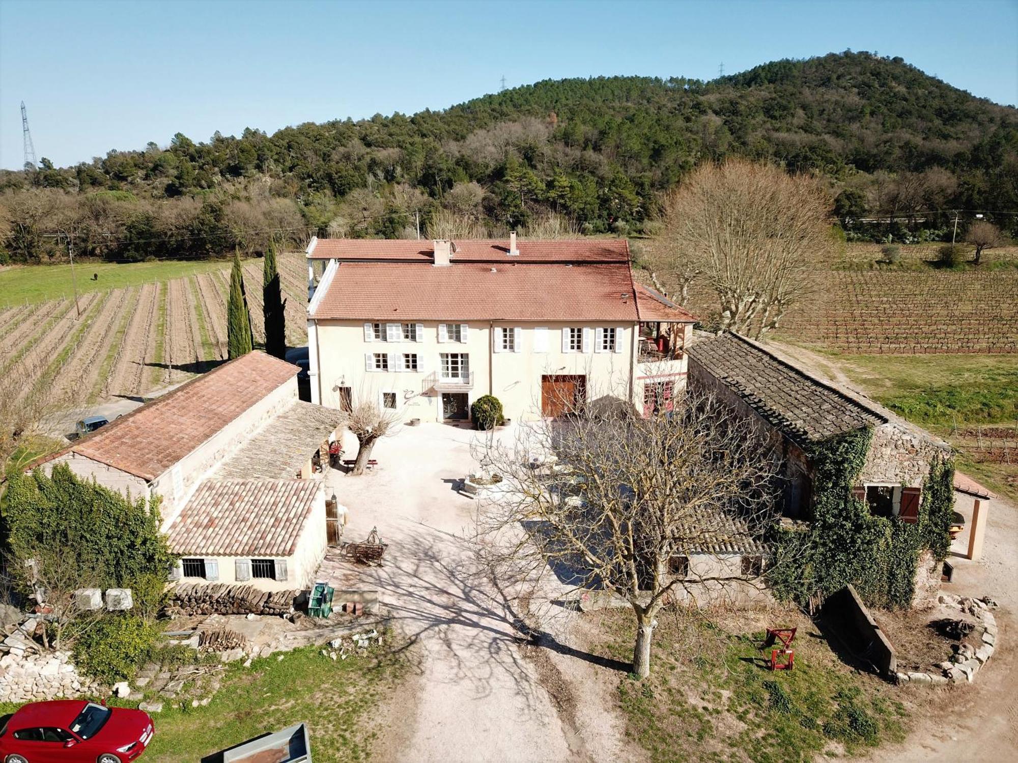 D'olive Au Milieu Des Vignes. Chateau Les Apies Apartment *