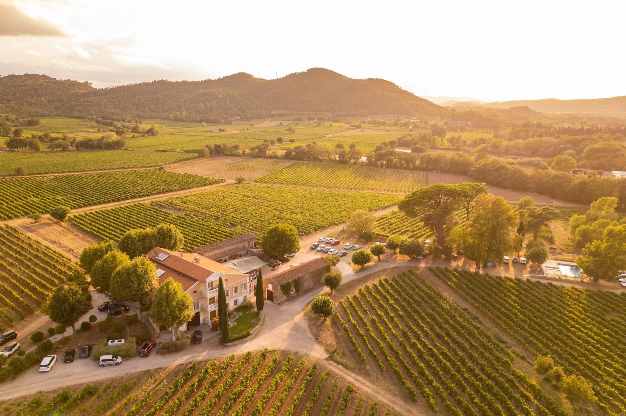 D'olive Au Milieu Des Vignes - Chateau Les Apies Apartment Les Arcs-sur-Argens