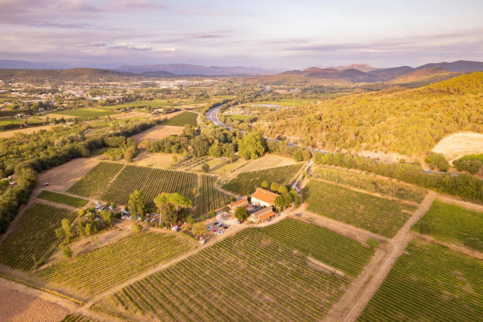 D'olive Au Milieu Des Vignes - Chateau Les Apies *