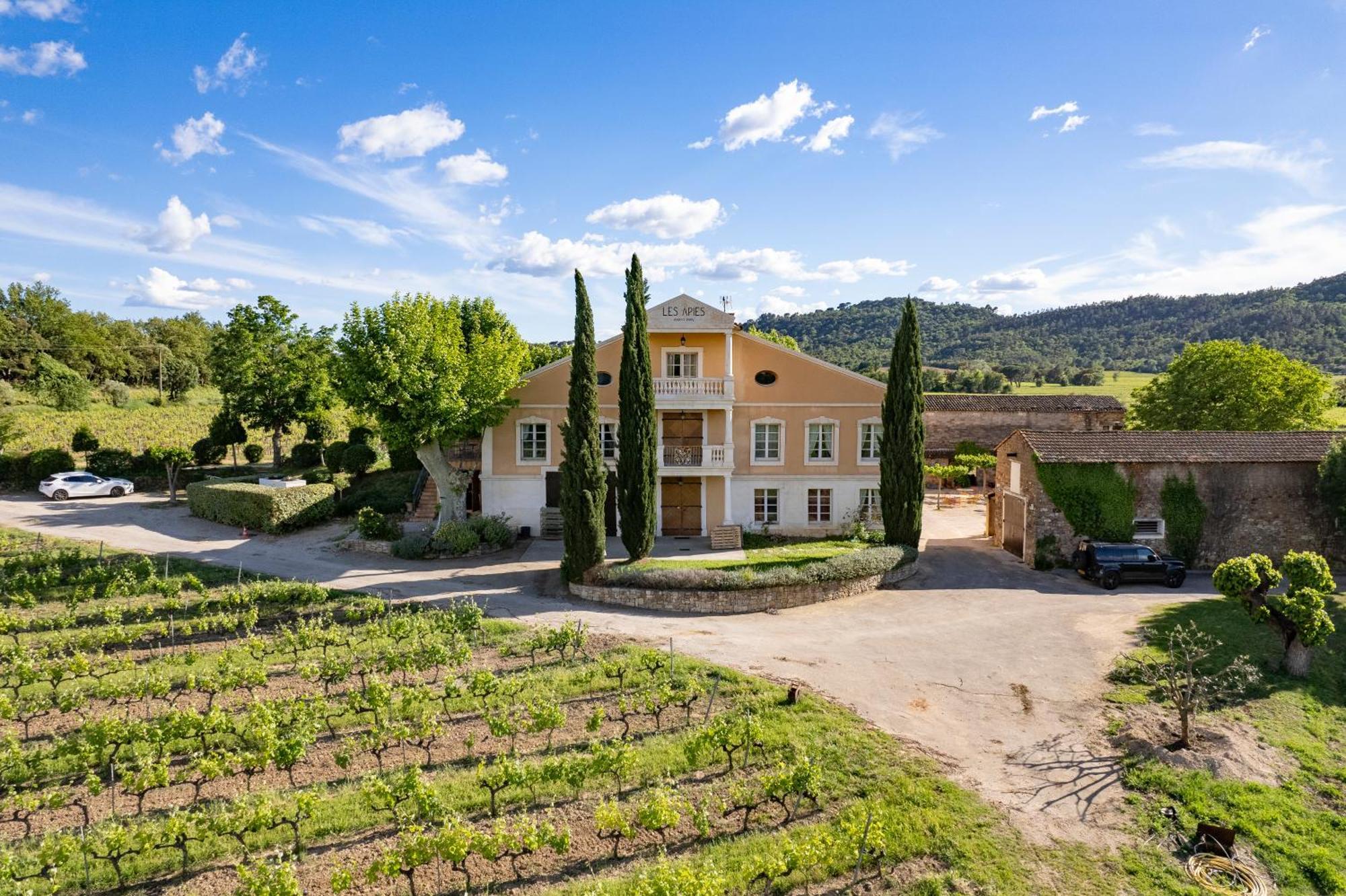 D'olive Au Milieu Des Vignes - Chateau Les Apies *